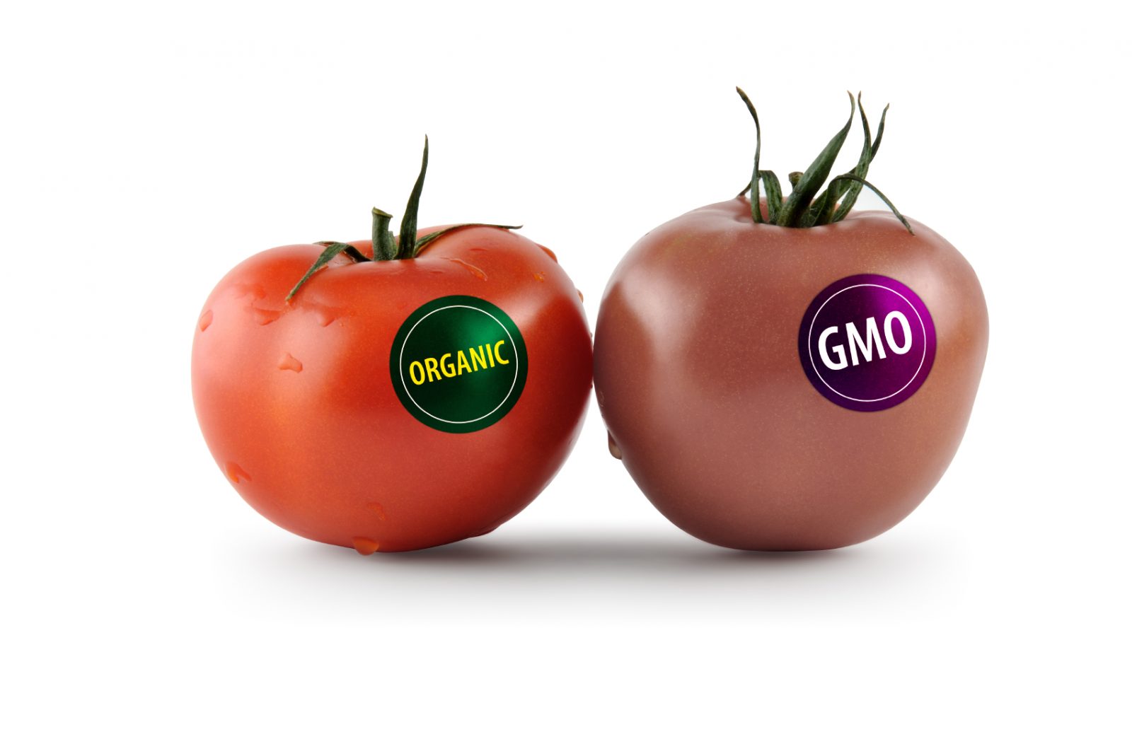 Kako razlikovati organsku od otrovne GMO hrane?