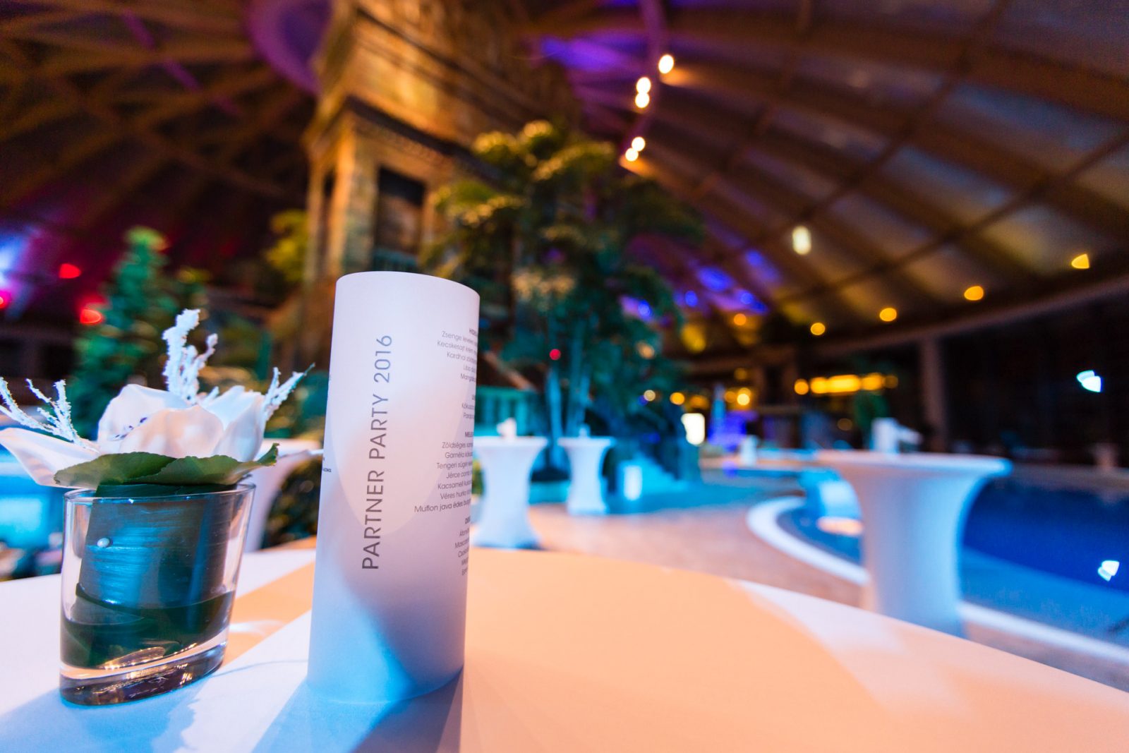 Zaokružili uspešnu godinu: Aquaworld Resort Budapest organizovao gala žurku!