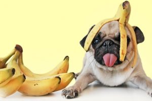 Bananu nije dobro jesti za doručak. Evo i zašto!