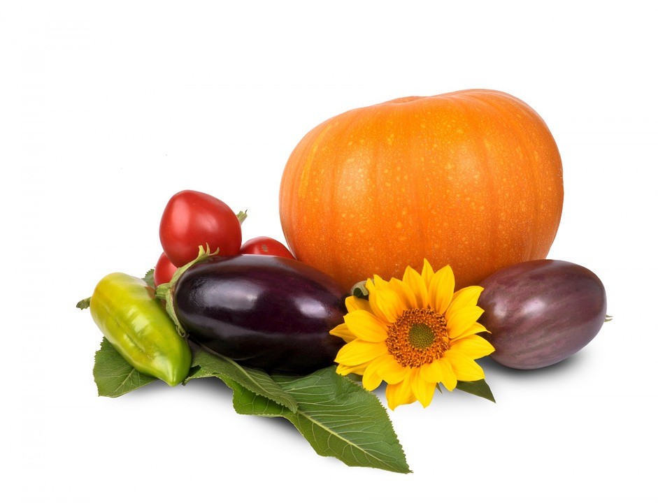 Salvestrol – komponenta organskog voća i povrća koja selektivno ubija ćelije raka, evo kako …
