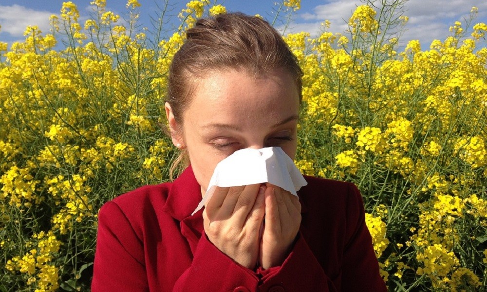 Sezona polena počinje: Evo kako da sprečite kontakt sa alergenima!