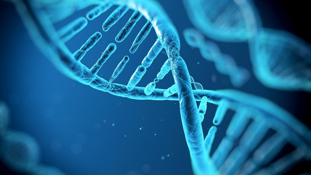 Naučnici otkrili način da obrišu genetske nedostatke!