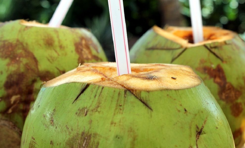Šta sve leči kokosova voda: prirodni napitak za regenerisanje organizma i lepotu!