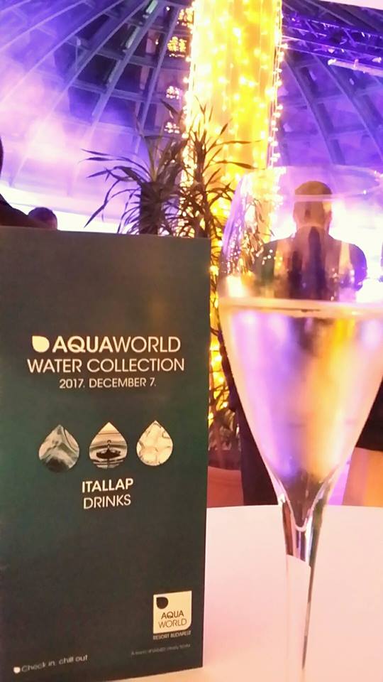 Partner party Aquaworld Resort Budapest hotela: Gala zabava za kraj godine!