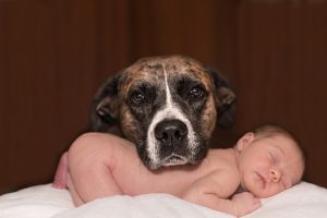 Slatke životinje i bebe na društvenim mrežama povećavaju našu brižnost!