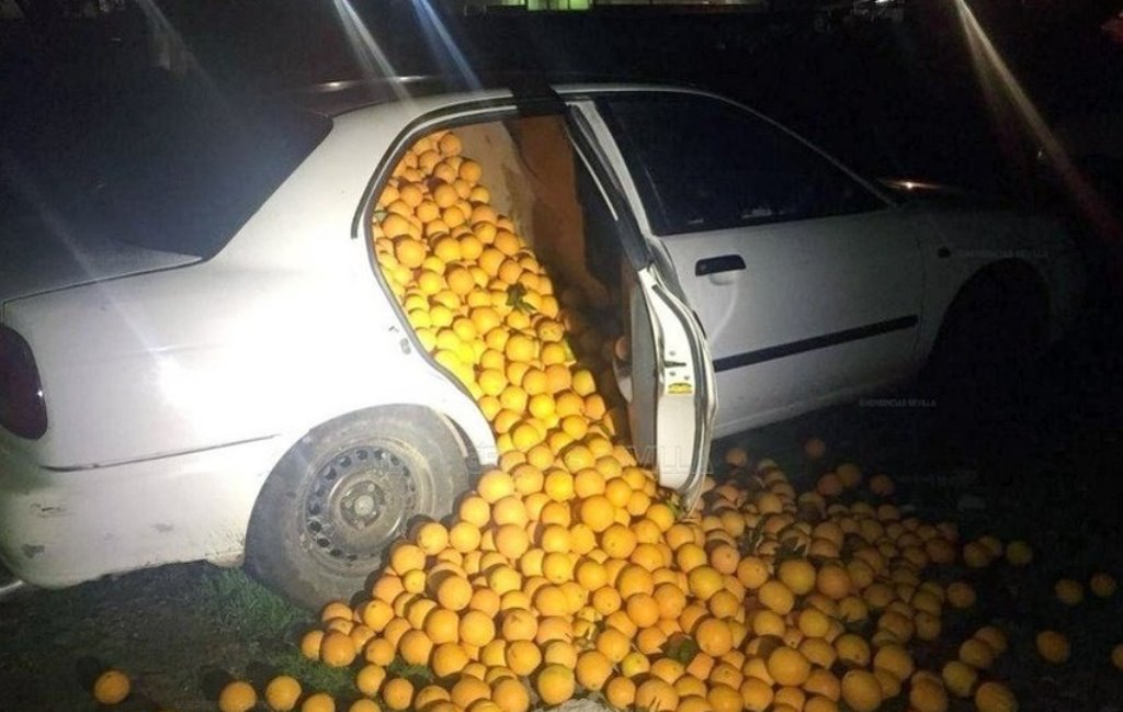 Policija u tri automobila pronašla čak četiri tone ukradenih pomorandži