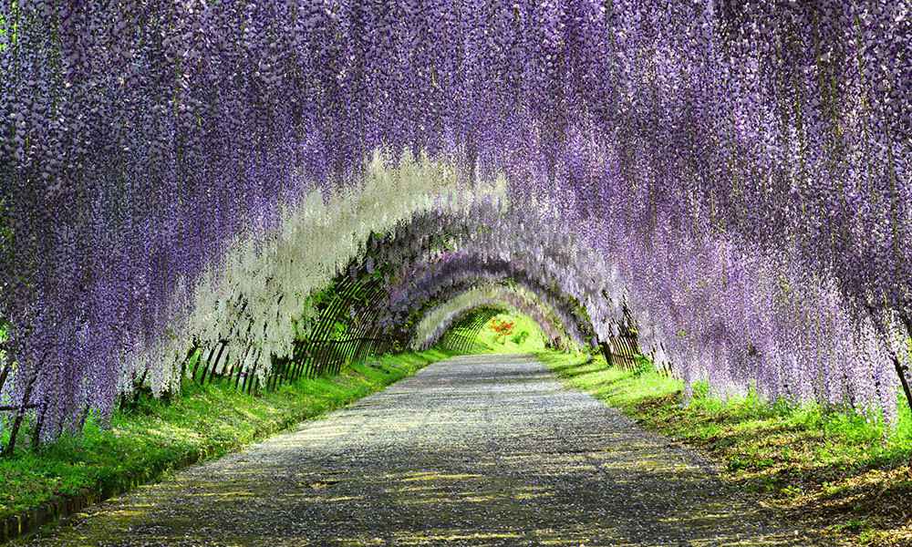 japan tunel