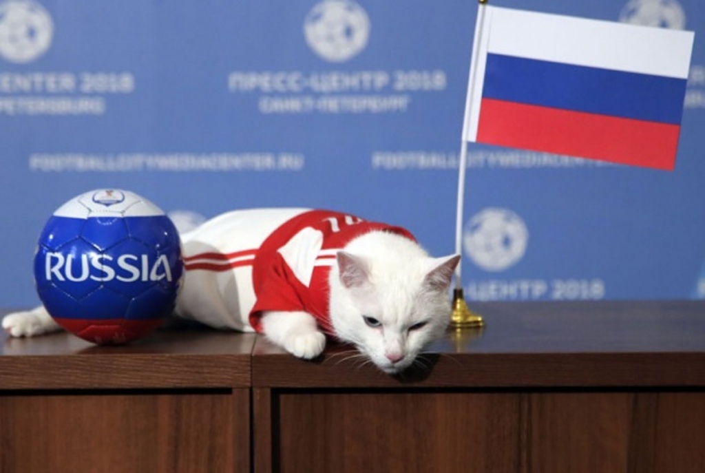 Mačor Ahil prognozira pobedu Rusije, dok lemur tipuje na Saudijsku Arabiju