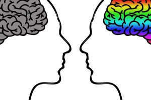 Zanimljive razlike između ženskog i muškog mozga!
