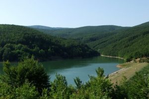 U Srbiji se nalazi najšumovitija planina na Balkanu, ali je zapostavljena