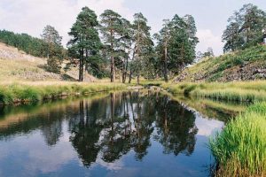 DOMAĆI TURIZAM: 22 odsto više domaćih turista nego 2019. godine