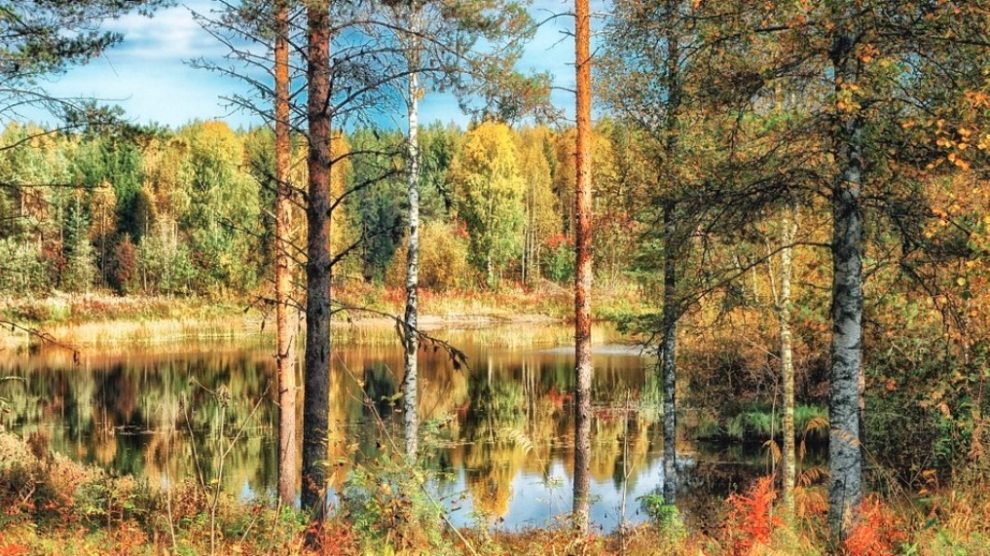 Posetite Finsku besplatno i naučite da budete srećni
