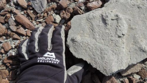 Na ANTARKTIKU pronađen fosilni otisak stopala DINOSAURUSA, starog oko 200 miliona godina!