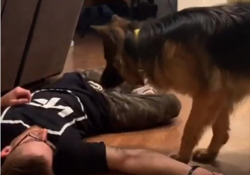 Pravio se mrtav da bi video reakciju svojih pasa: OVOME SE NIJE NADAO! (VIDEO)