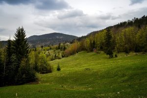 Najniža temperatura od 13 do 19, a najviša od 24 do 29 stepeni.