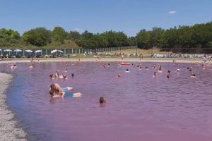 KAO IZ BAJKE: Roze jezero nalazi se u Srbiji (FOTO/VIDEO)