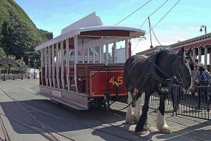 konjski tramvaj