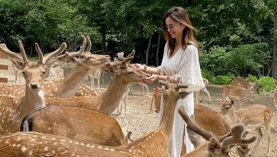 SEVERINA HRANI JELENE: Kebina snajka uživa na ranču na Plitvicama