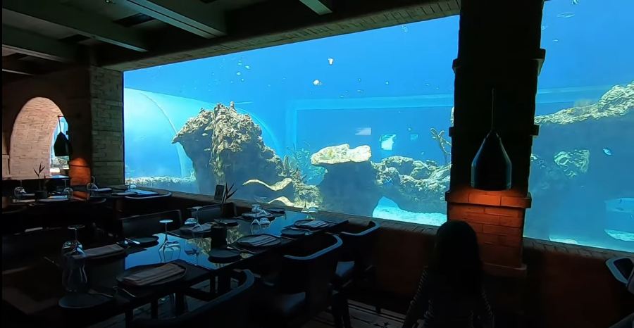 restoran koral