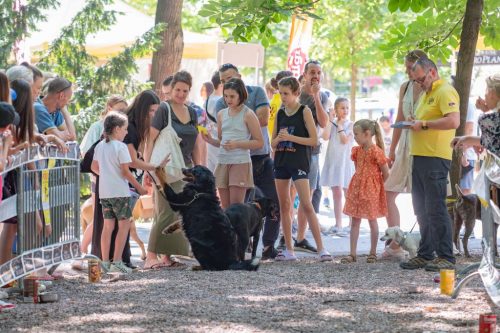 Završen festival “Ulični psi” na Kalemegdanu