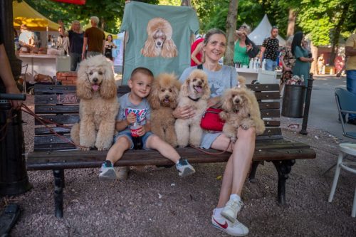 Završen festival “Ulični psi” na Kalemegdanu