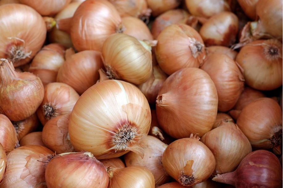 Luk je bogat hranjivim materijama, ima malo kalorija, ali je bogat vitaminima i mineralima. Jedna srednja glavica luka sadrži samo 44 kalorije, ali donosi značajnu dozu vitamina, minerala i vlakana. Ovo povrće posebno je bogato vitaminom C, koji je uključen u regulaciju imunološkog zdravlja, proizvodnju kolagena, obnavljanje tkiva i apsorpciju gvožđa. Vitamin C takođe deluje kao moćan antioksidans u vašem telu, štiteći ćelije od oštećenja izazvanih nestabilnim molekulima koji se nazivaju slobodni radikali. Luk je takođe bogat vitaminima B kompleksa, uključujući folnu kiselinu i vitamin B6, koji igraju ključnu ulogu u metabolizmu, proizvodnji crvenih krvnih zrnaca i funkciji nervnog sistema. Na kraju, luk je dobar izvor kalijuma, minerala koji je važan za normalno funkcionisanje ćelija, ravnotežu tečnosti, pravilan rad nervnog sistema, funkciju bubrega i kontrakciju mišića. Luk sadrži i određene fitohemikalije, kao što su flavonoidi, koje imaju antioksidativna svojstva i mogu pružiti zaštitu od određenih bolesti. Pored hranjivih materija, luk takođe ima i potencijalne zdravstvene benefite. Neke studije su pokazale da konzumacija luka može smanjiti rizik od određenih vrsta raka, uključujući rak debelog creva i želuca. Takođe se smatra da luk ima protivupalna svojstva i može pomoći u održavanju zdravlja srca i krvnih sudova. Luk se može koristiti u raznim jelima kao dodatak ukusu i aromi. Može se koristiti svež, kuvan, pečen ili pržen, a često se koristi i kao osnova za mnoge kulinarske recepte.