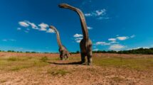 Da li su dinosaurusi zaista nestali zbog udara asteroida