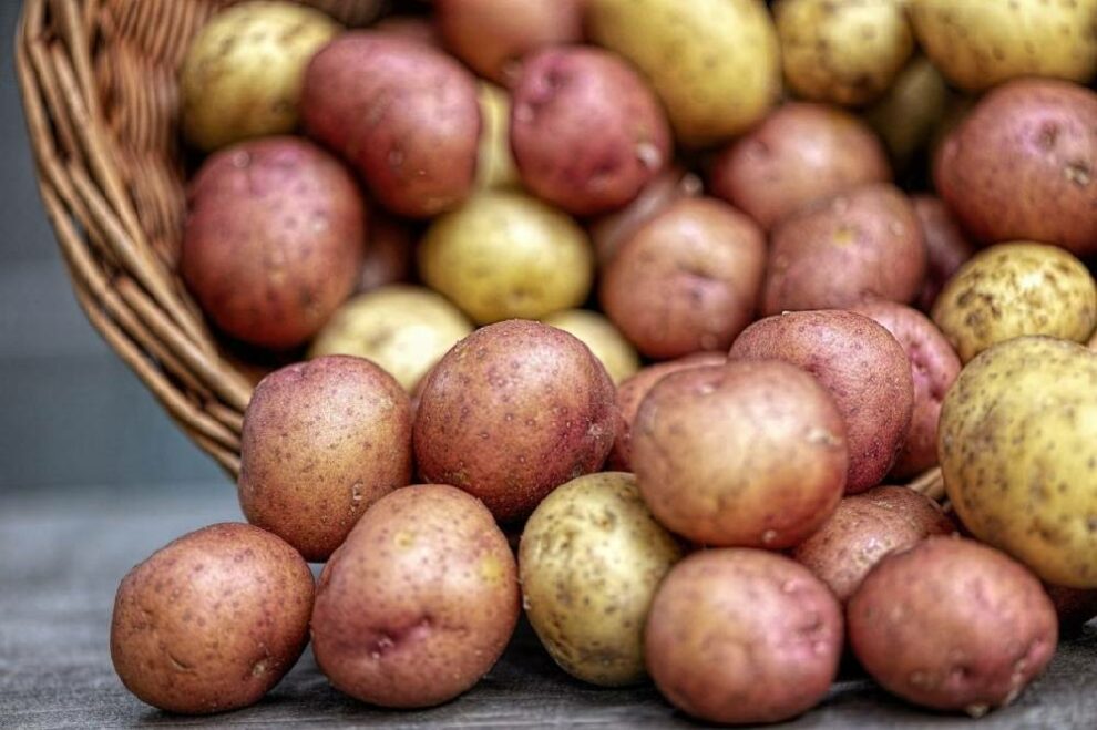 Crveni ili beli krompir: Stručnjaci otkrili koji je zdraviji!